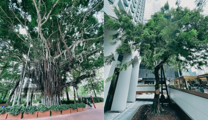  灣仔拍拖好去處_打卡Café 